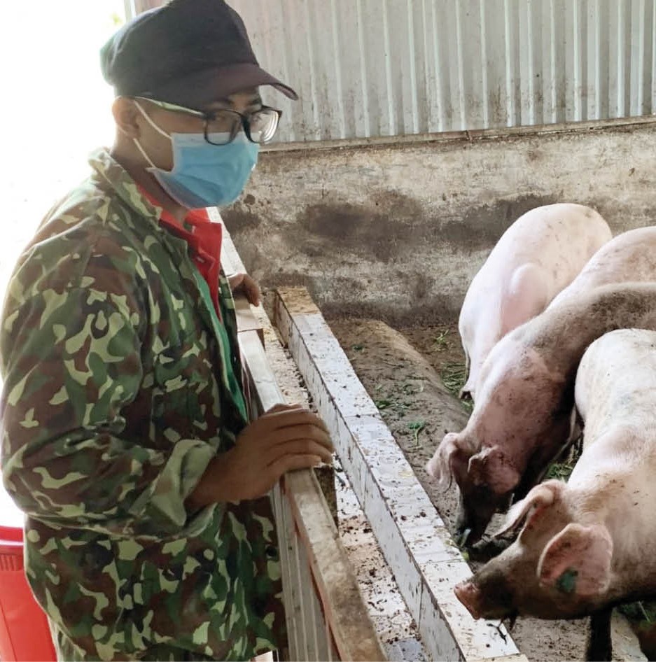 Nông nghiệp hữu cơ, tuần hoàn tạo sinh kế bền vững