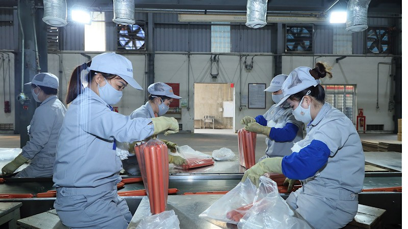 Hàng triệu người lao động trên thế giới chưa được tiếp cận với việc làm chất lượng