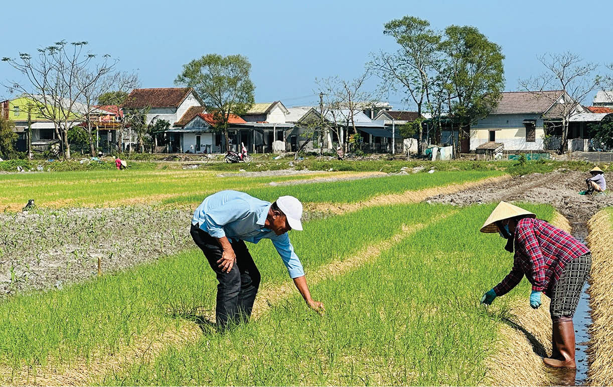 Xây dựng thương hiệu cho cây ném Đan Điền