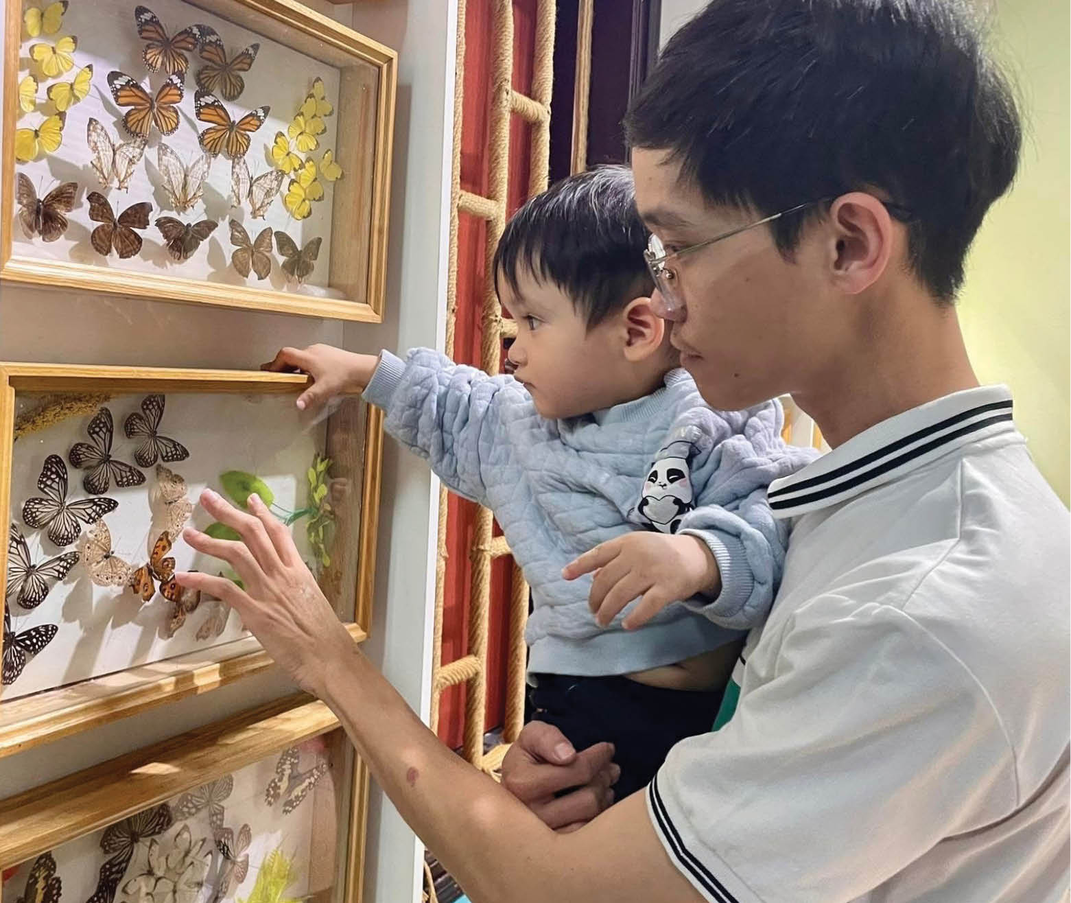 Bảo tàng Thiên nhiên duyên hải miền Trung Gắn trưng bày với nghiên cứu khoa học