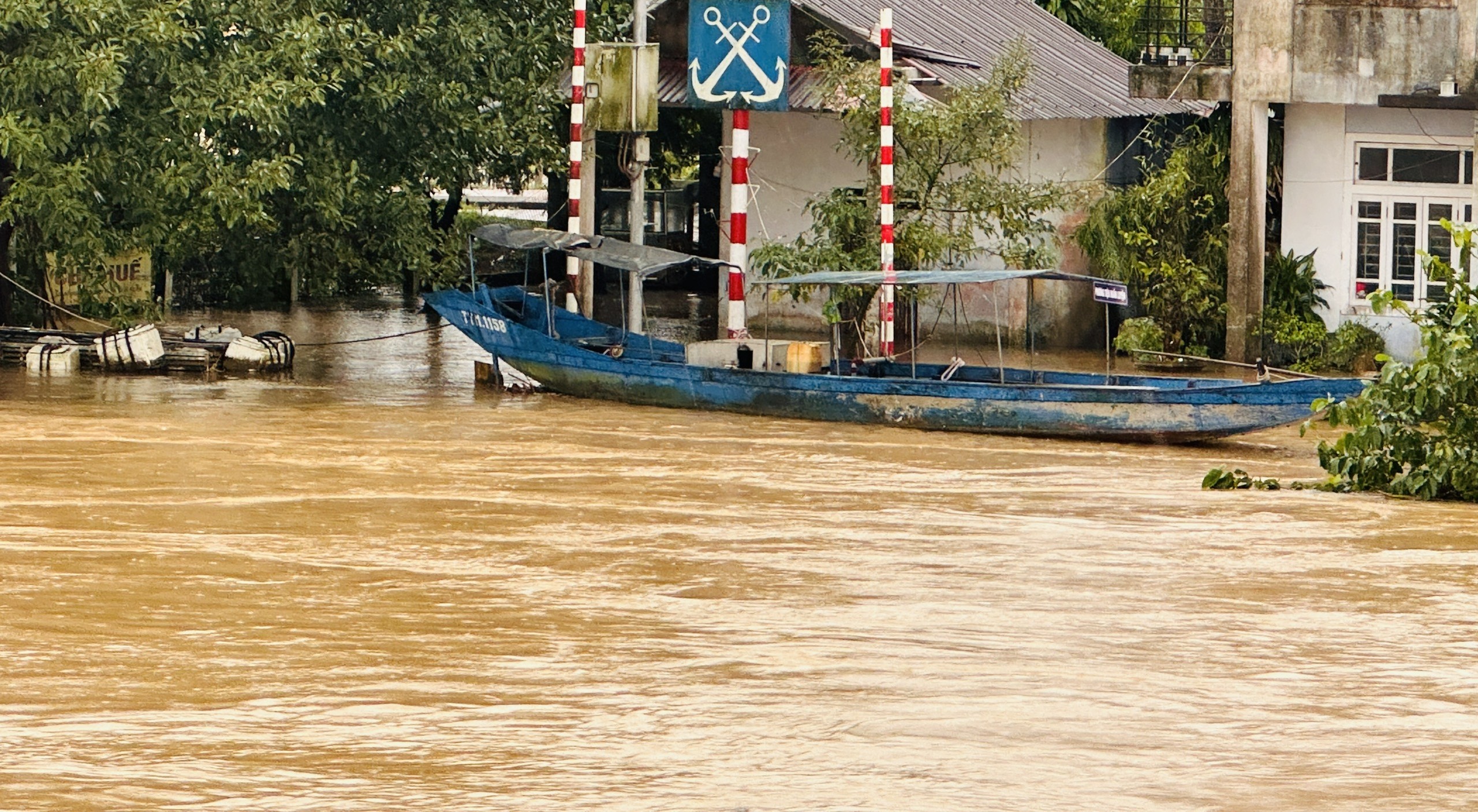 Ứng phó với không khí lạnh, ngập úng, rét đậm, rét hại