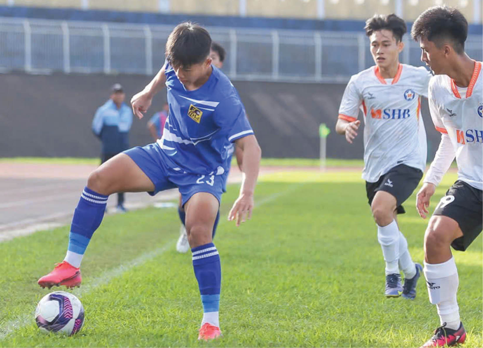 Cánh chim từ Tây Nguyên