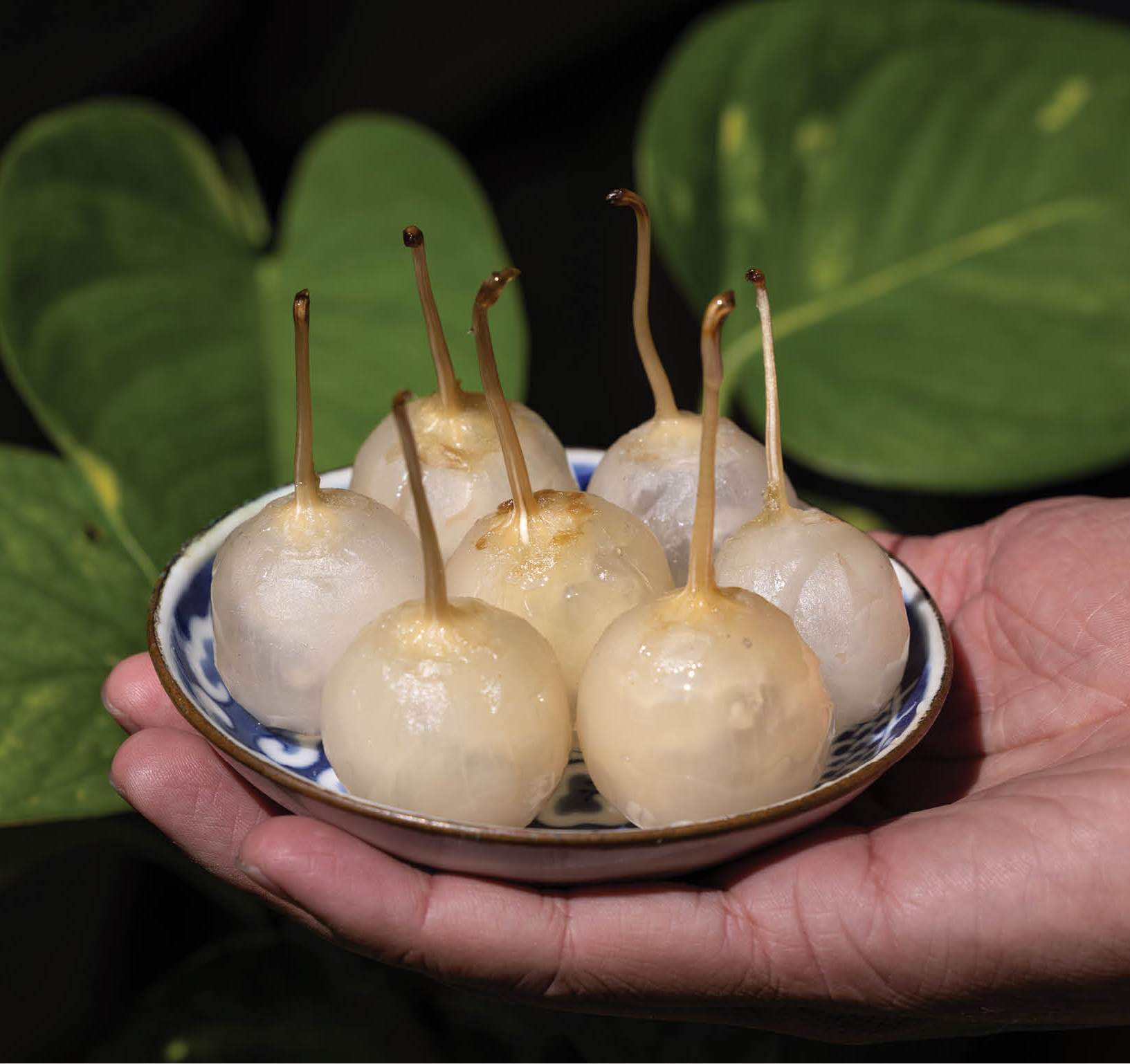 Tinh tế mứt cà pháo