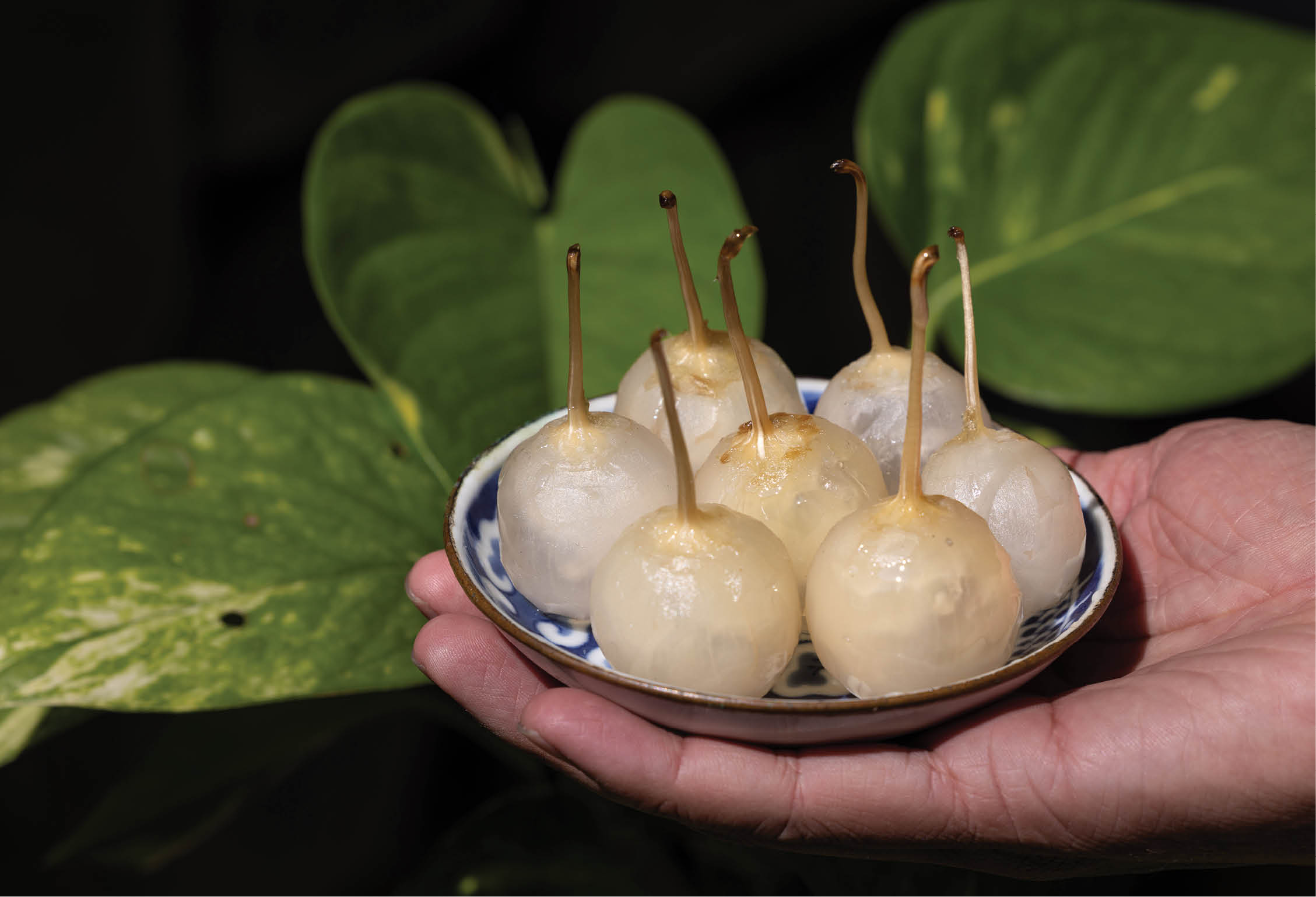 Tinh tế mứt cà pháo