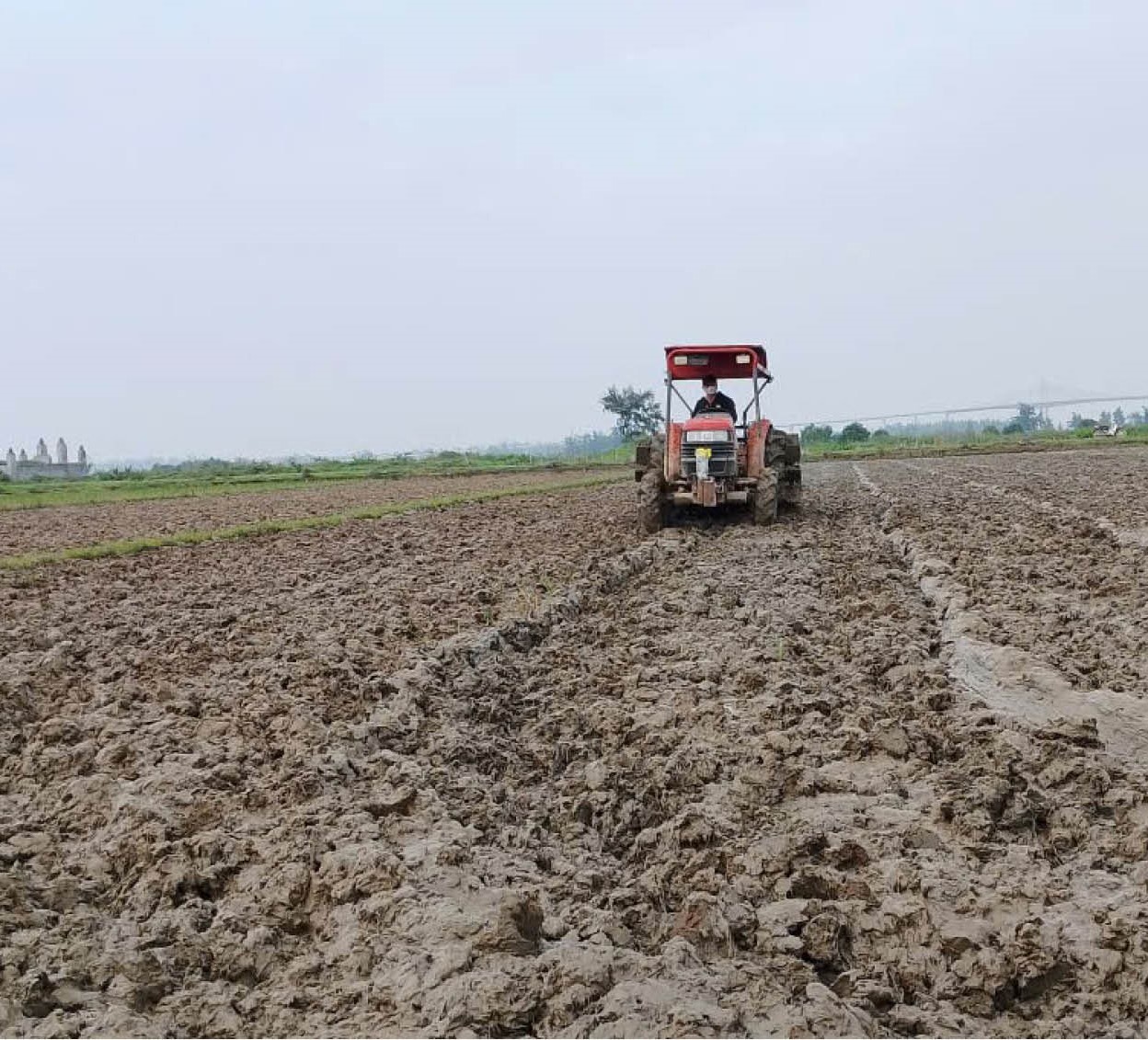 Đảm bảo thắng lợi cho vụ đông xuân