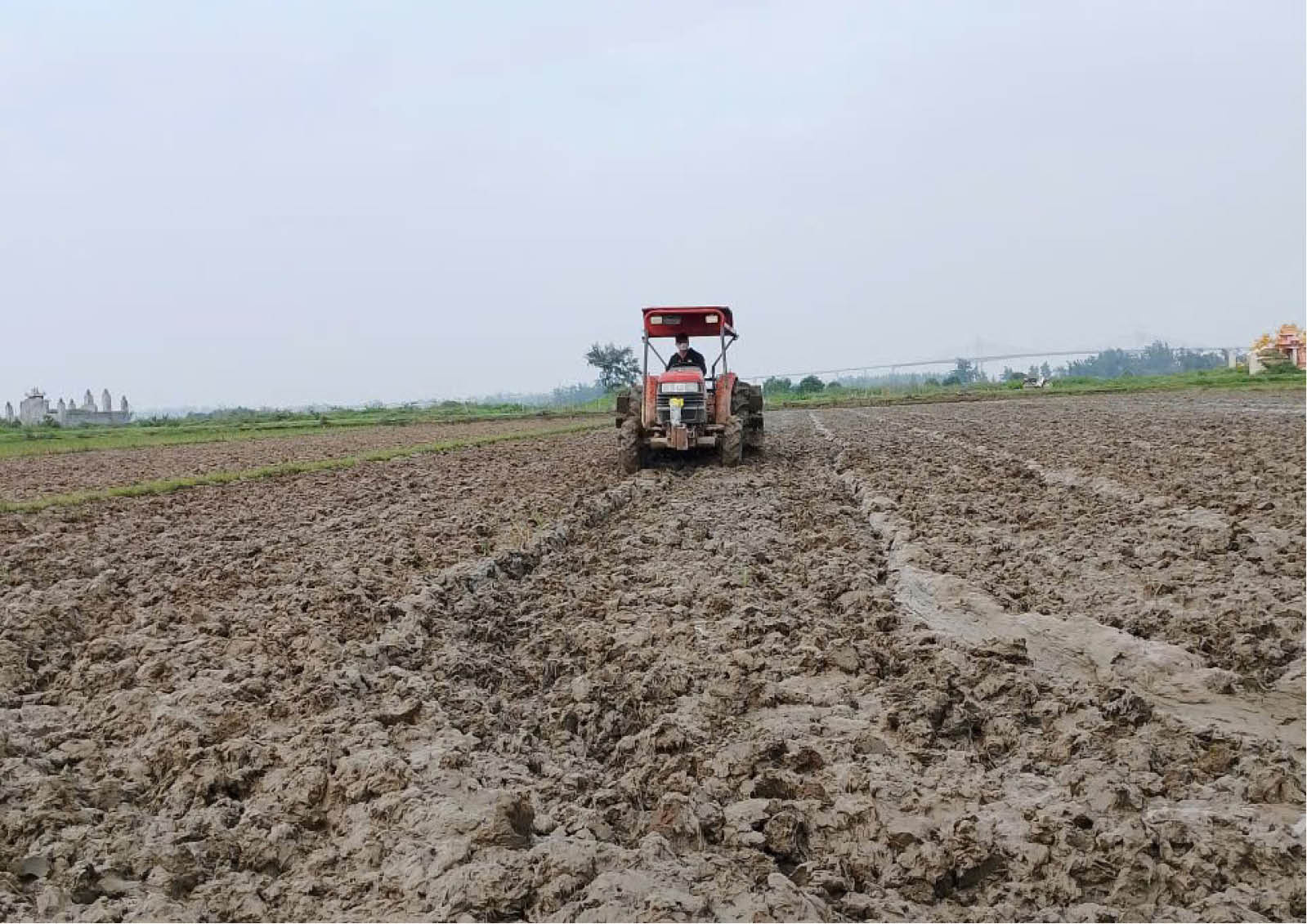 Đảm bảo thắng lợi cho vụ đông xuân