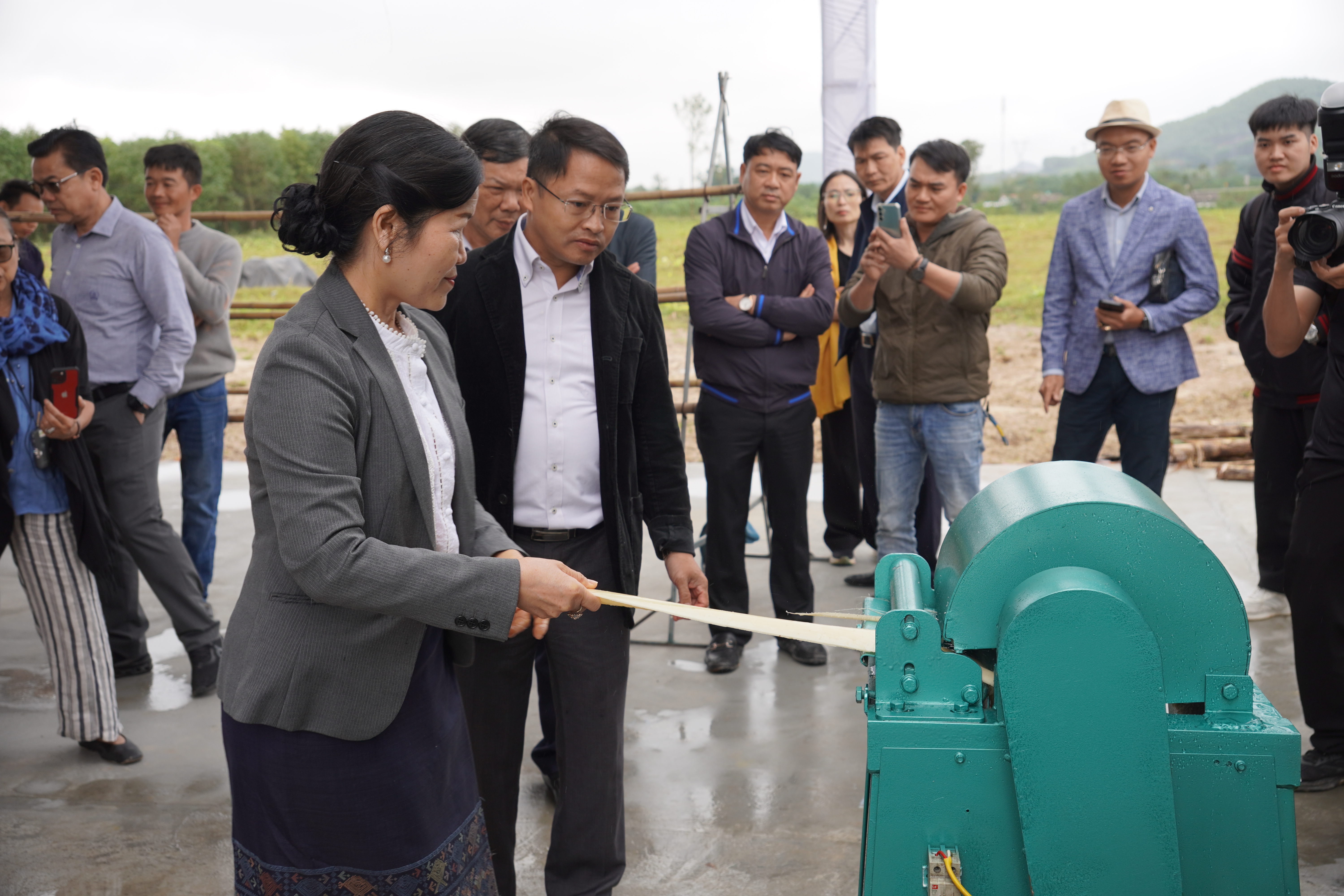 Hỗ trợ xây dựng chuỗi giá trị bền vững từ cây chuối