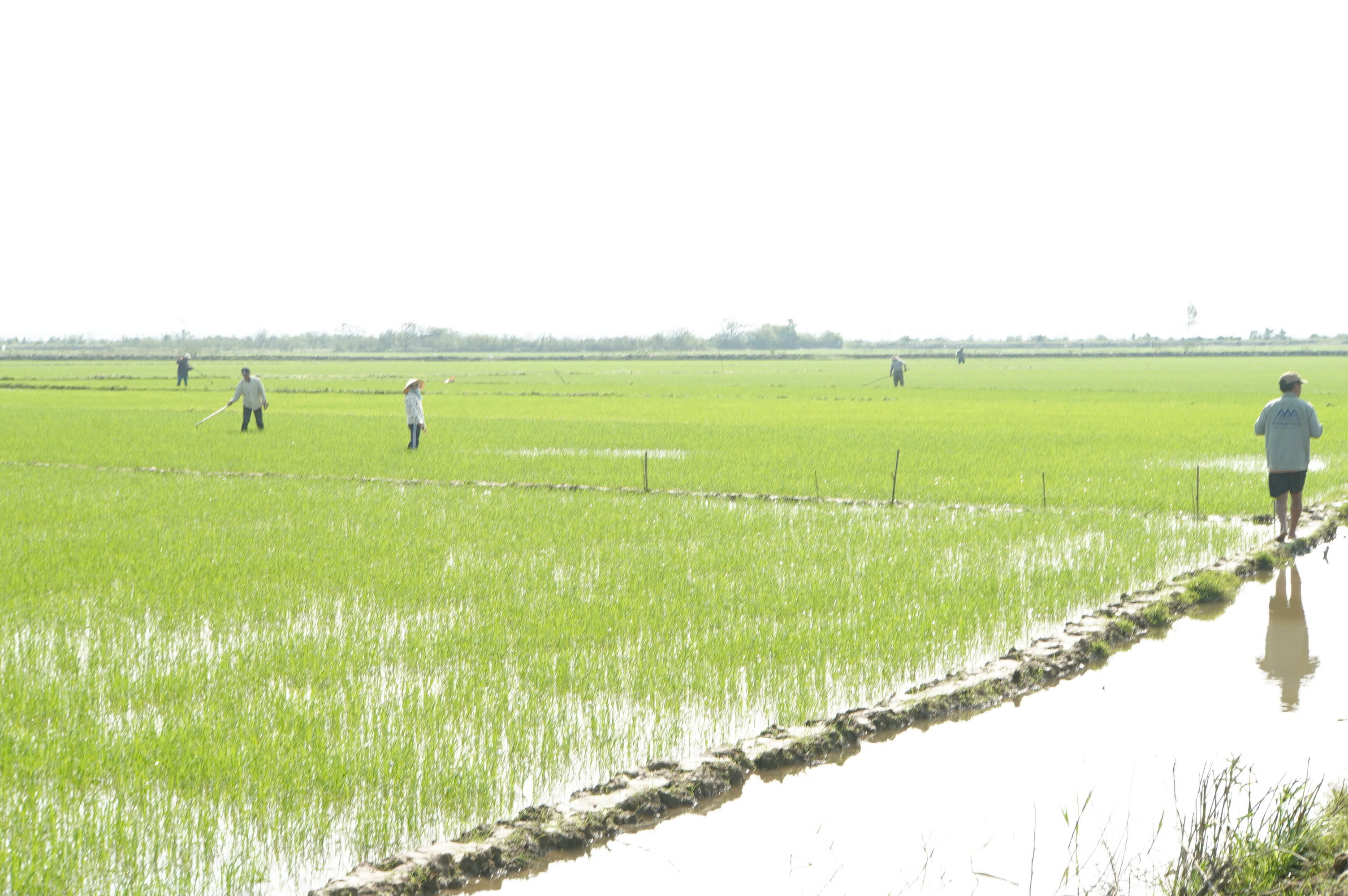 Phát huy vai trò chủ thể, vươn lên phát triển kinh tế