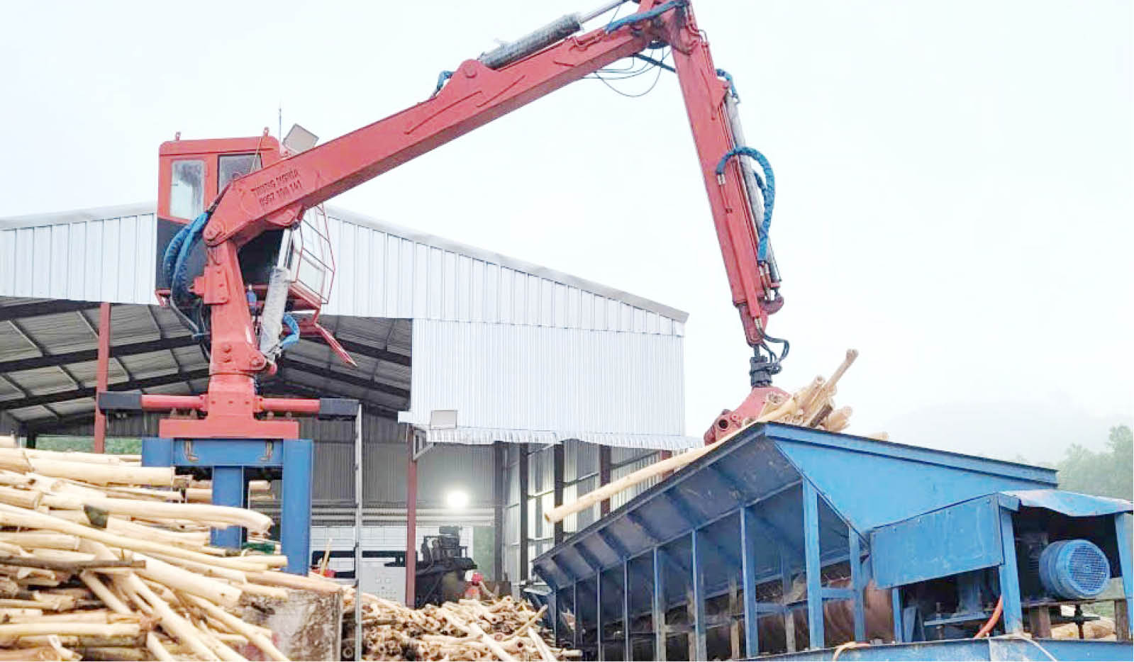 Phát huy tiềm năng vùng nguyên liệu gỗ rừng trồng