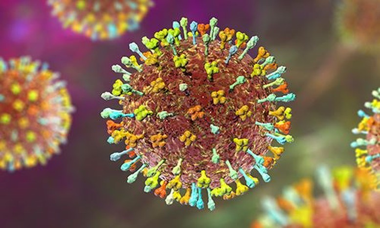 Ứng phó dịch virus Nipah Nhiều sân bay lớn giám sát y tế như thời COVID-19