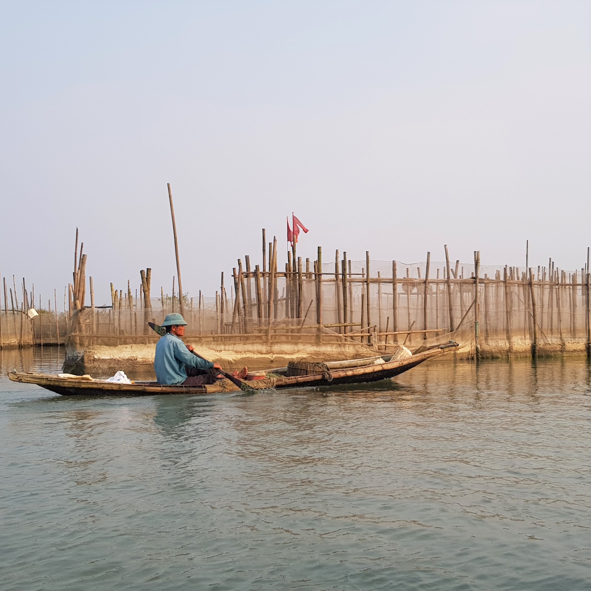 Quy định mới về nuôi trồng, quản lý và khai thác thủy sản