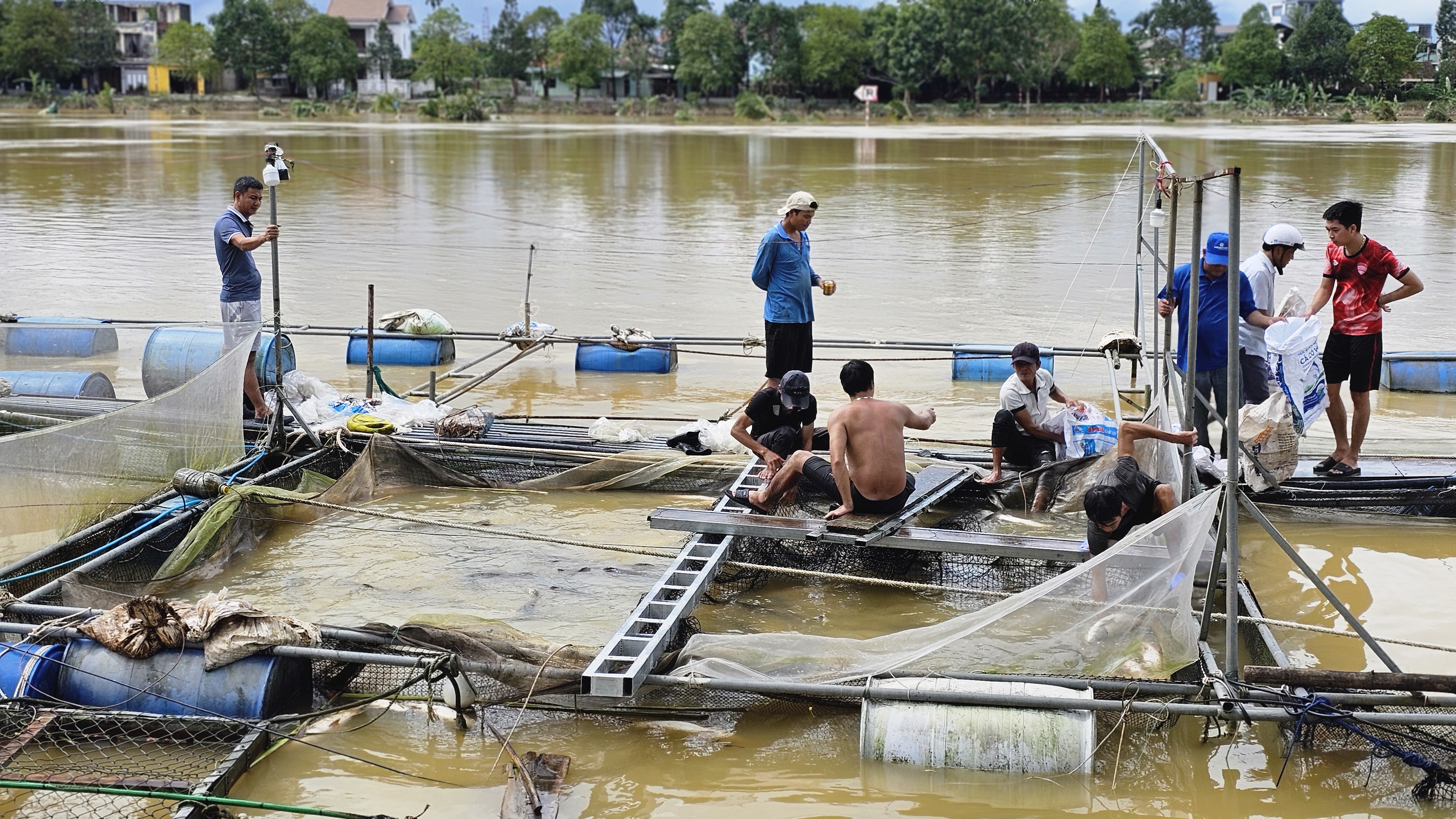Quy định mới về nuôi trồng, quản lý và khai thác thủy sản