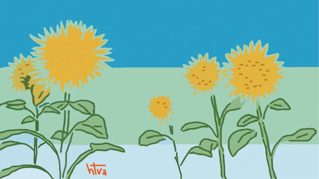 Mặt trời màu hoa hướng dương