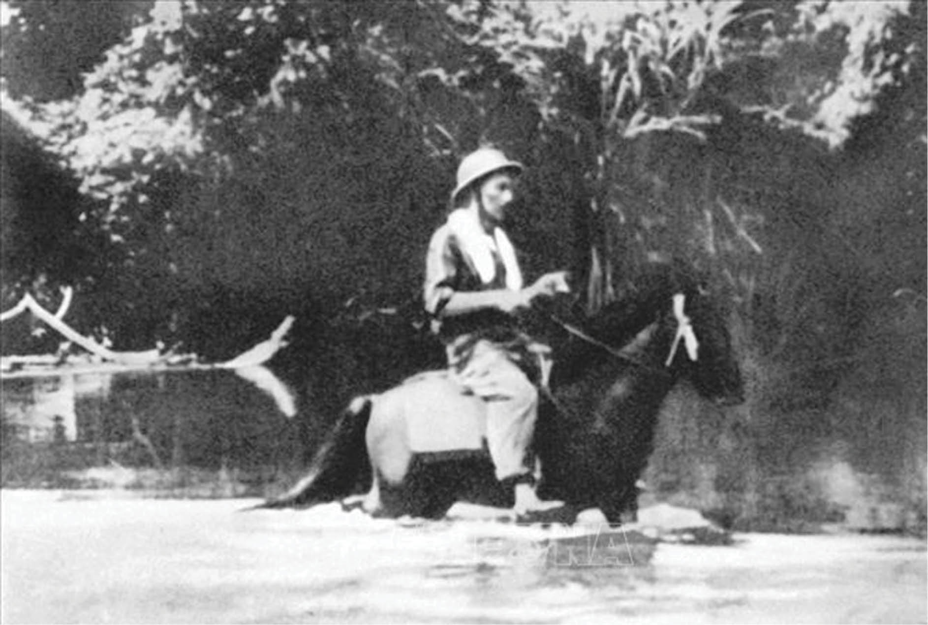 Ung dung yên ngựa bên đường suối reo