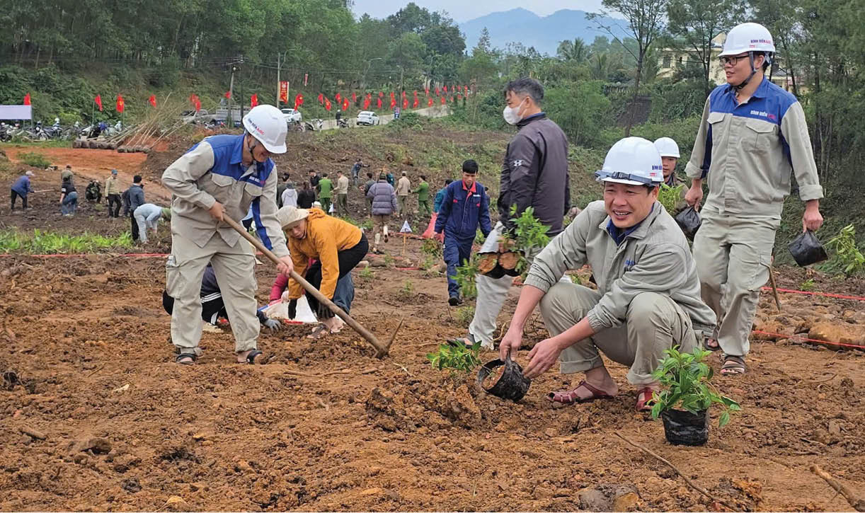 Xây dựng không gian xanh cộng đồng - Cách làm hay ở Bình Điền