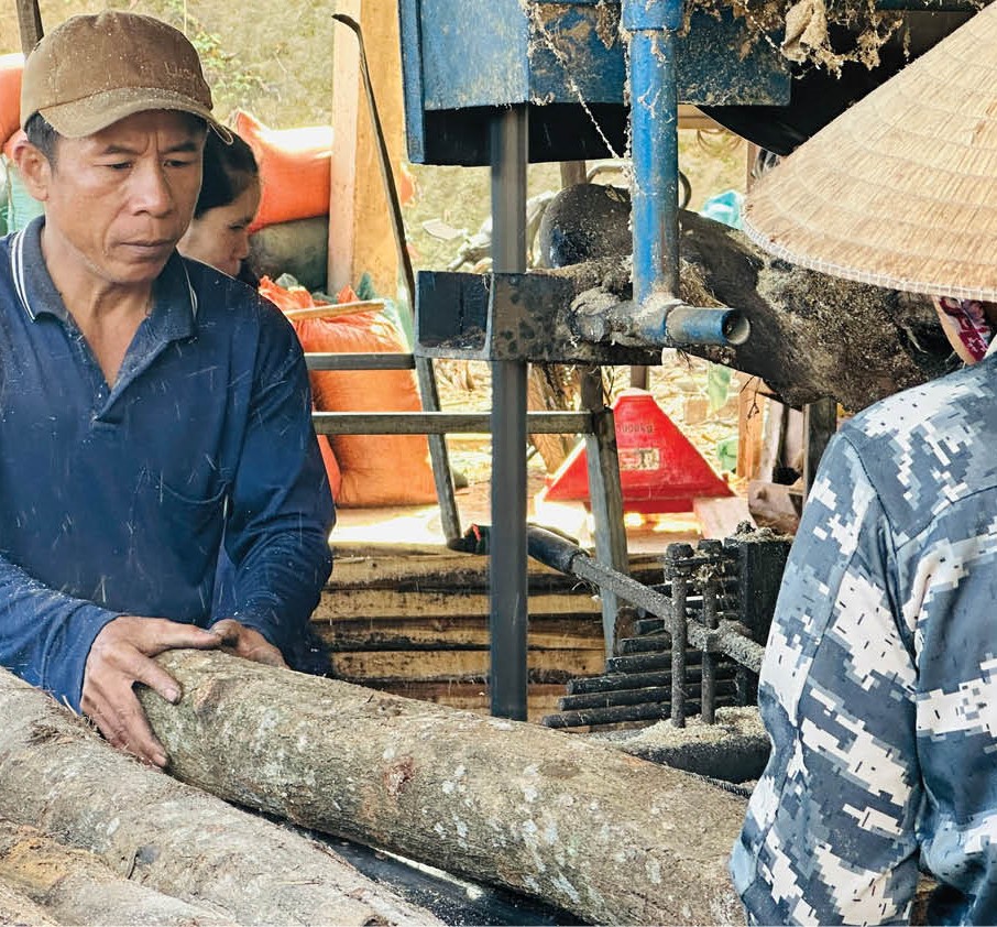 Sức sống mới ở khu tái định cư Bến Ván