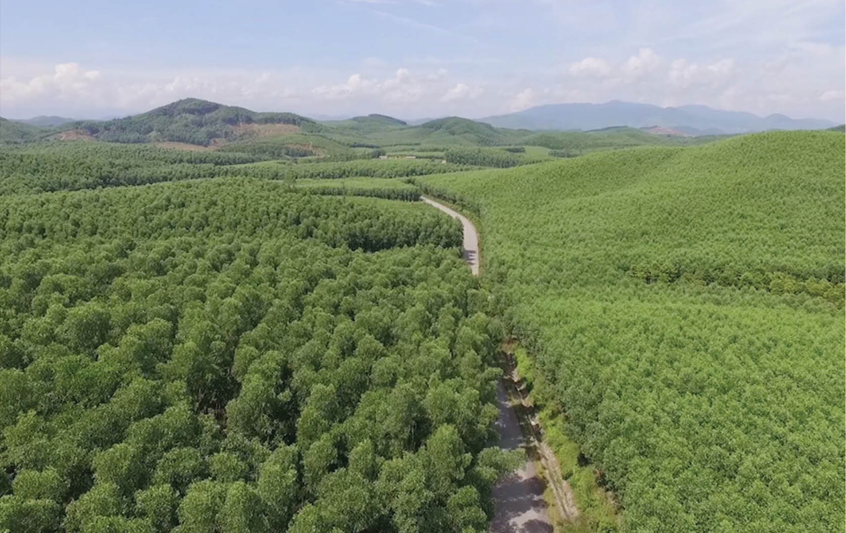 Hồi sinh từ vùng đất chết