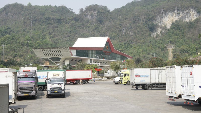 Hơn 1 300 phương tiện chở nông sản, thực phẩm ùn ứ tại các cửa khẩu do vướng kiểm tra an toàn thực phẩm