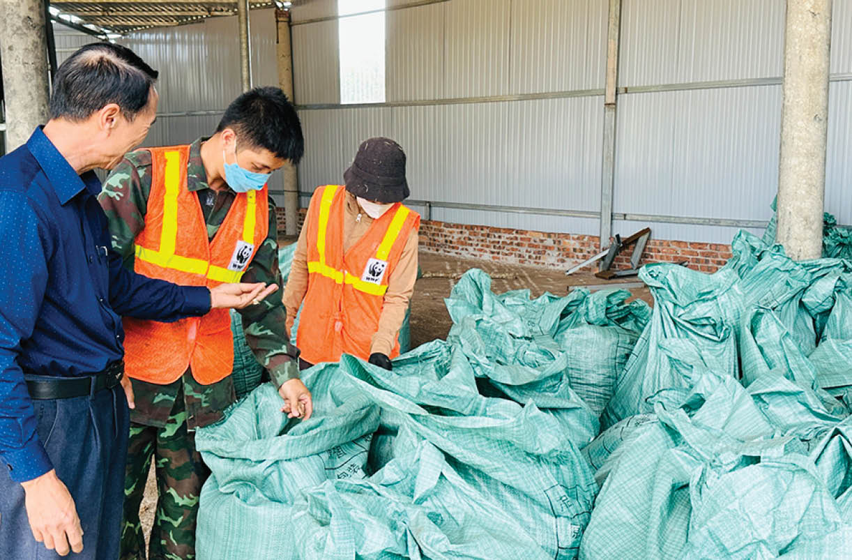 Biến phế phẩm vỏ cây keo thành tiền