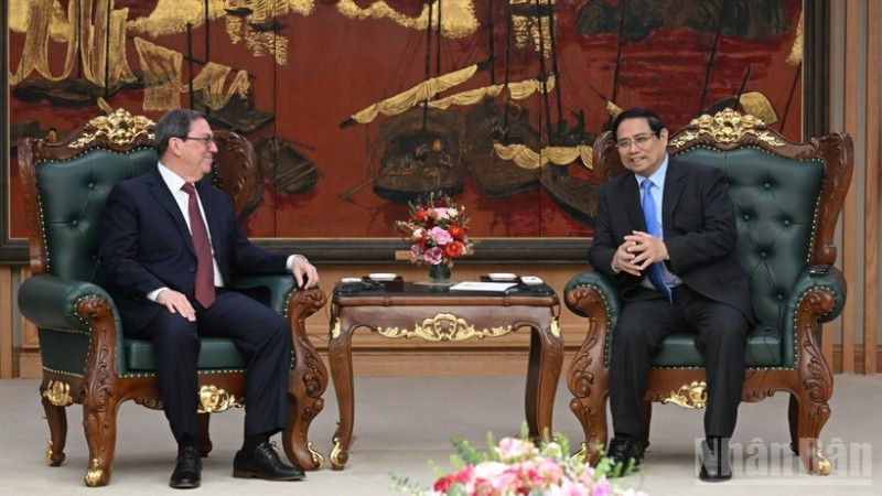 Việt Nam luôn đồng hành, chia sẻ và hỗ trợ Cuba trong khả năng của mình