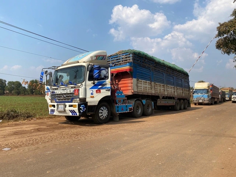 Thủ tướng chỉ đạo tháo gỡ vướng mắc trong triển khai Nghị định 46 2026 NĐ-CP về an toàn thực phẩm