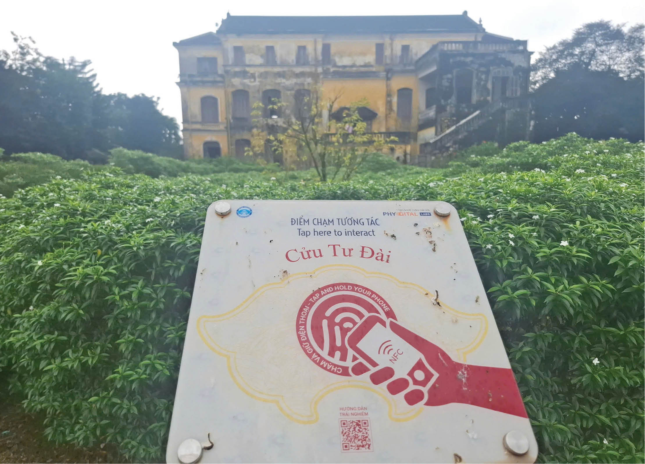 Tìm lại Cửu Tư Đài