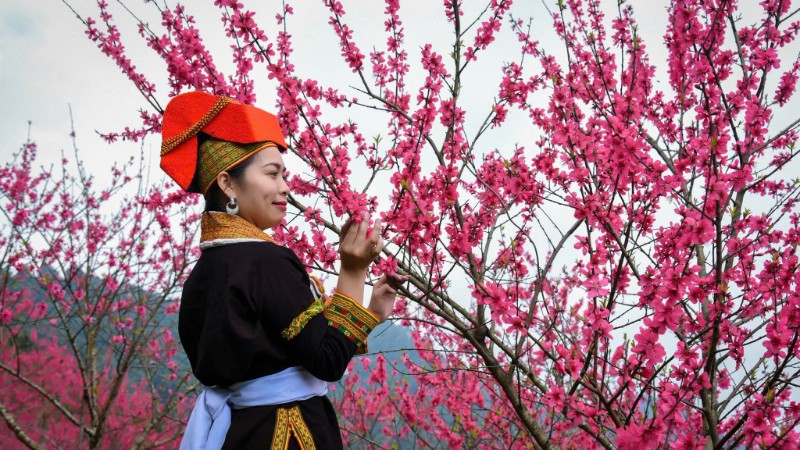 Rực rỡ Lễ hội Sắc đào xứ Lạng - kết nối muôn phương