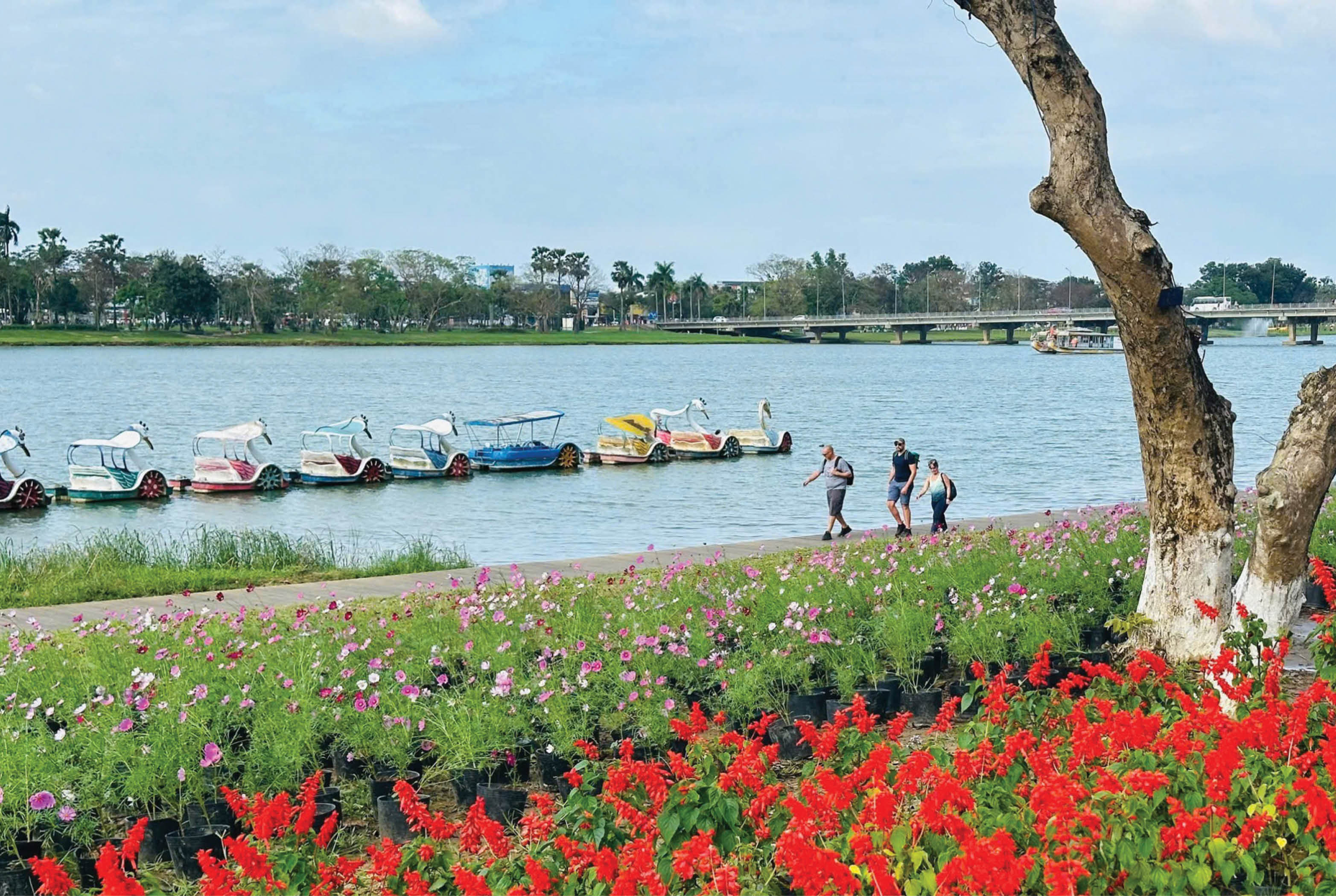 Điểm xuân cho phố