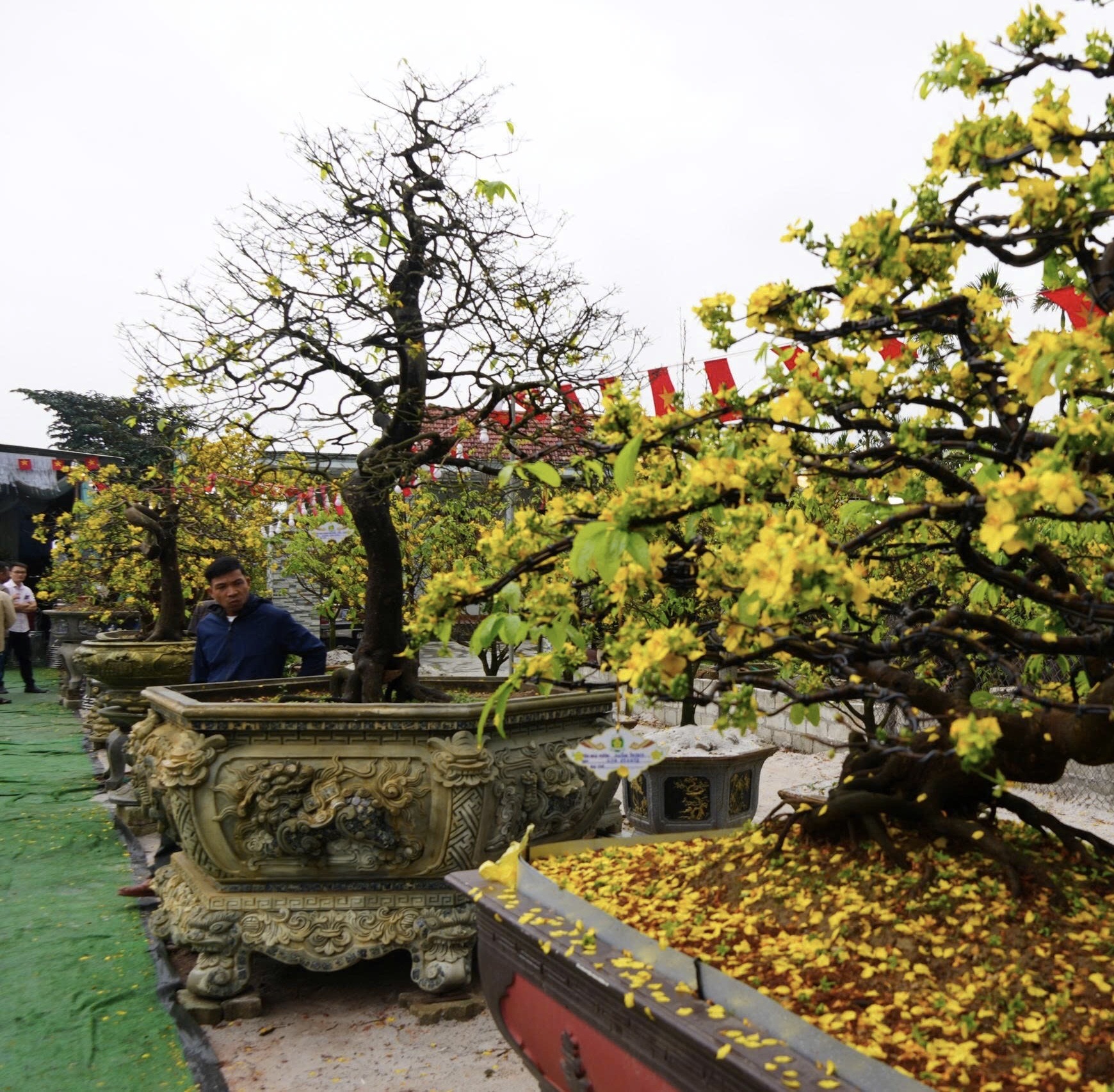 Ra mắt Câu lạc bộ Hoàng Mai Phong Thái