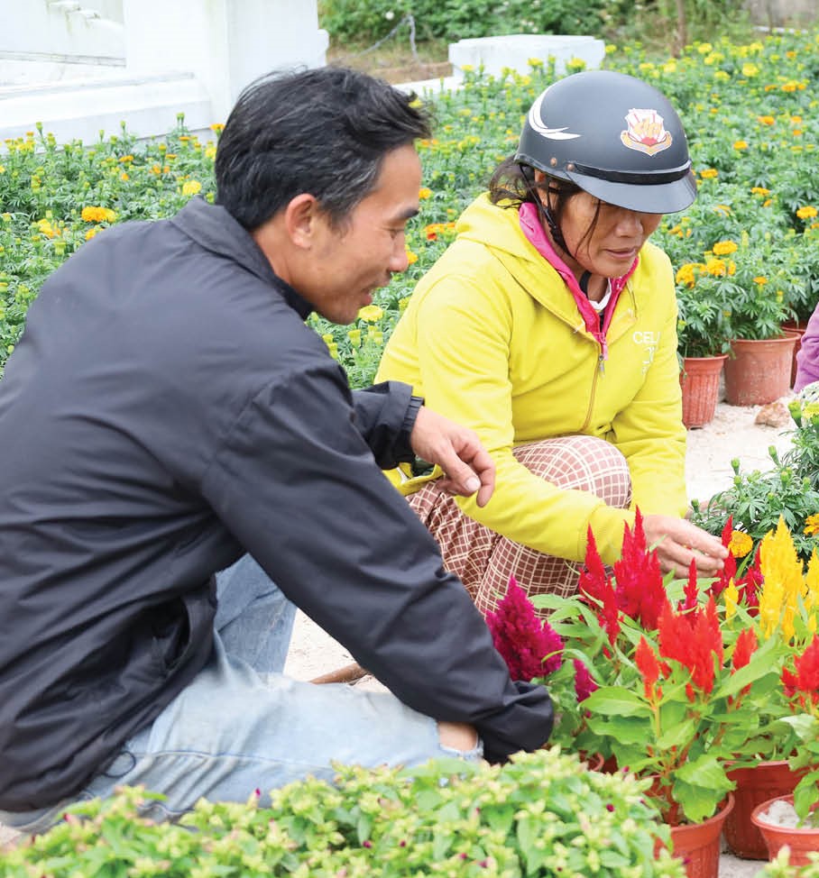 Sắc xuân nơi chợ hoa phía nam thành phố