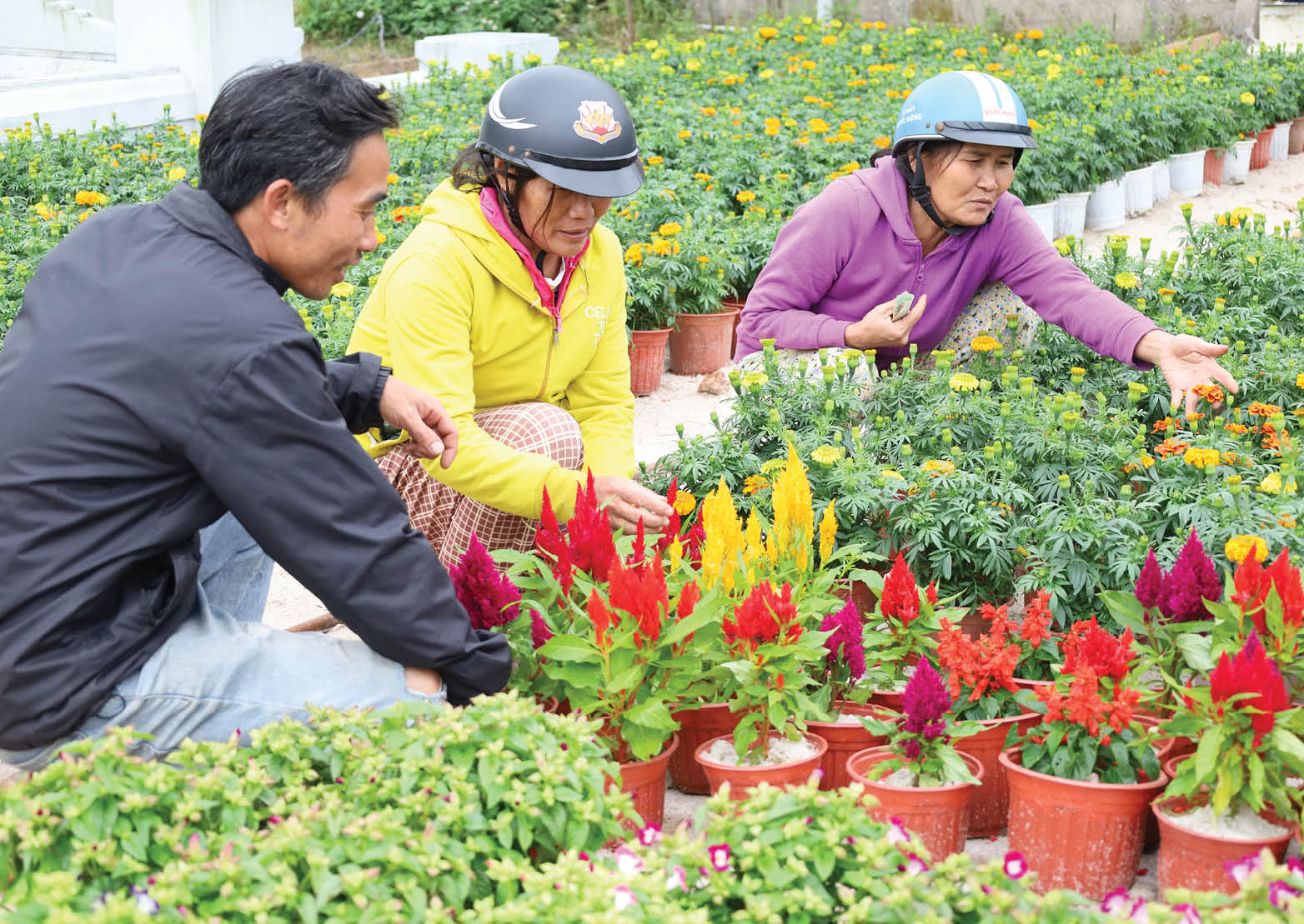Sắc xuân nơi chợ hoa phía nam thành phố
