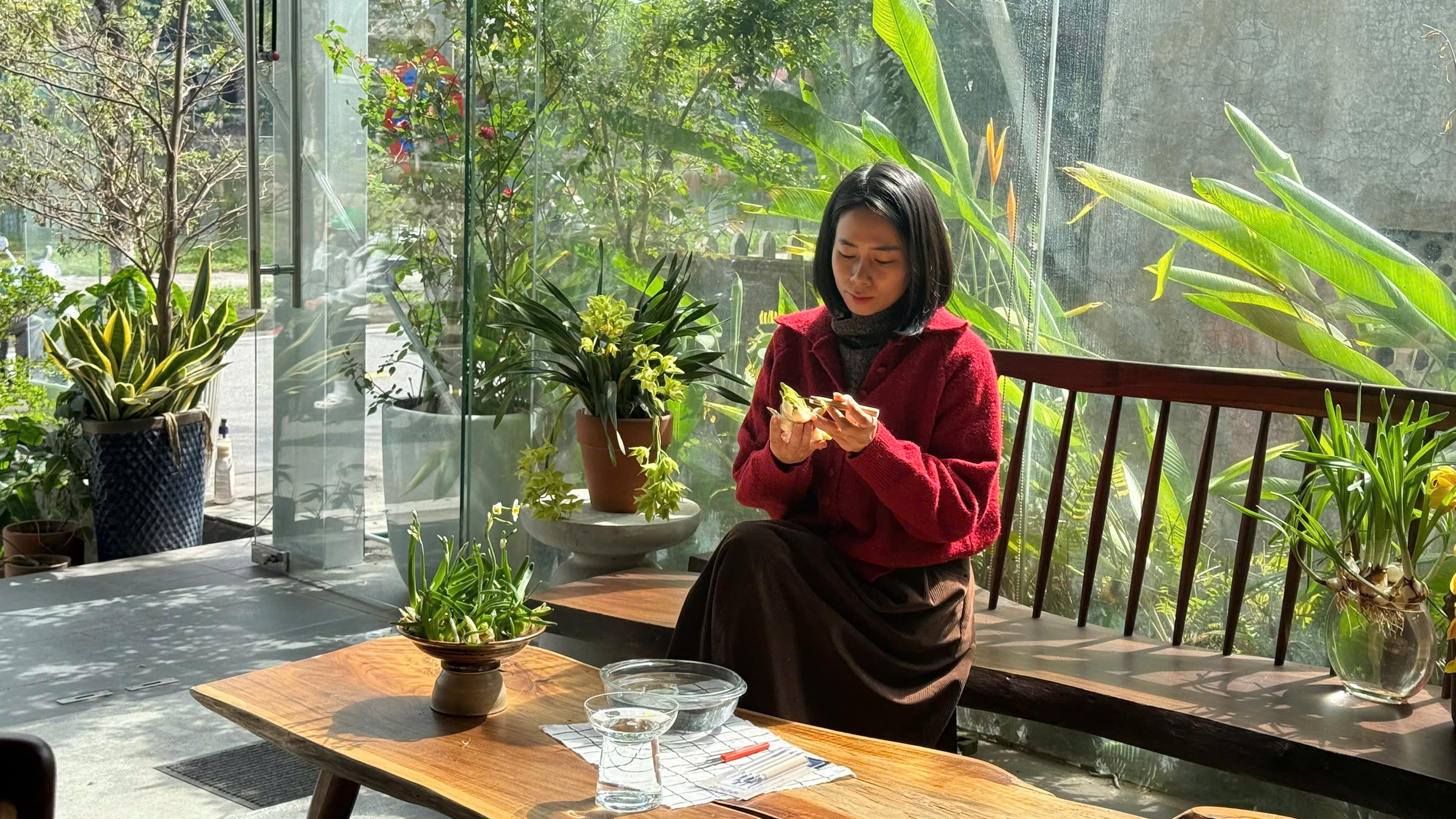 Chờ thủy tiên nở đúng giao thừa