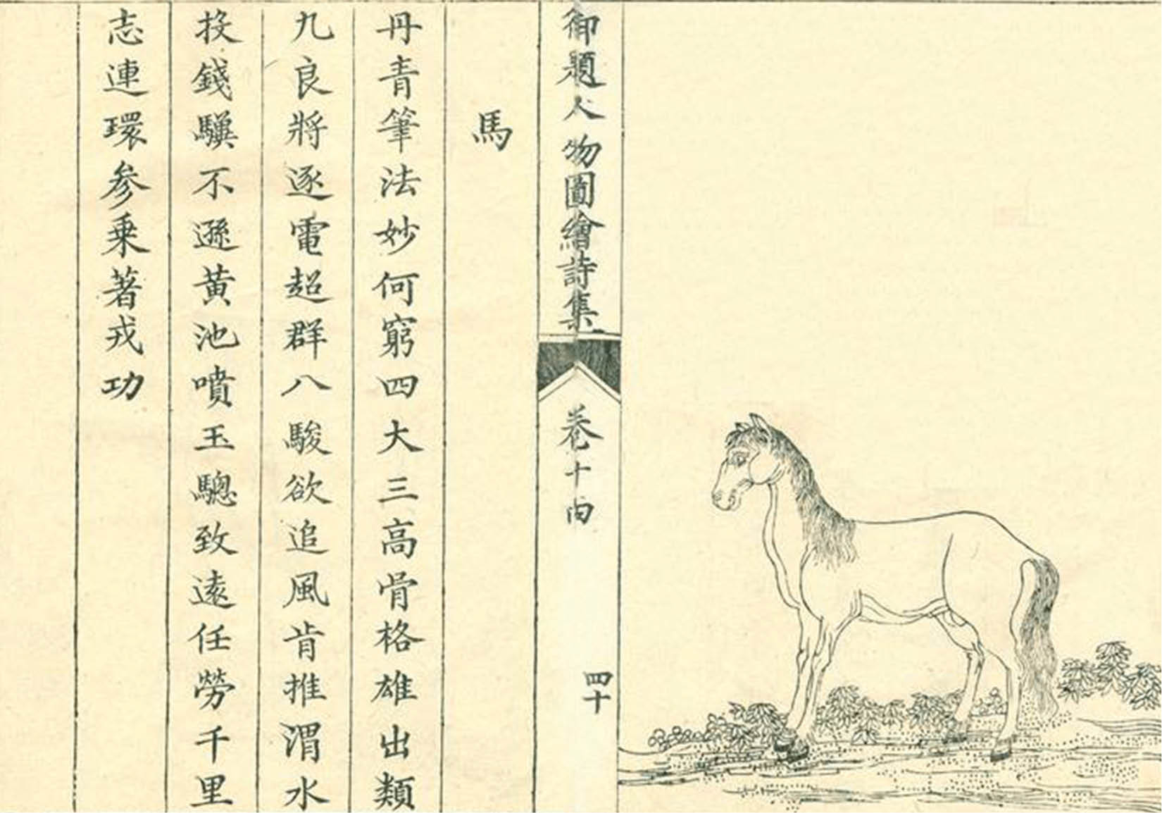 Ngựa trong thơ Hoàng đế Thiệu Trị