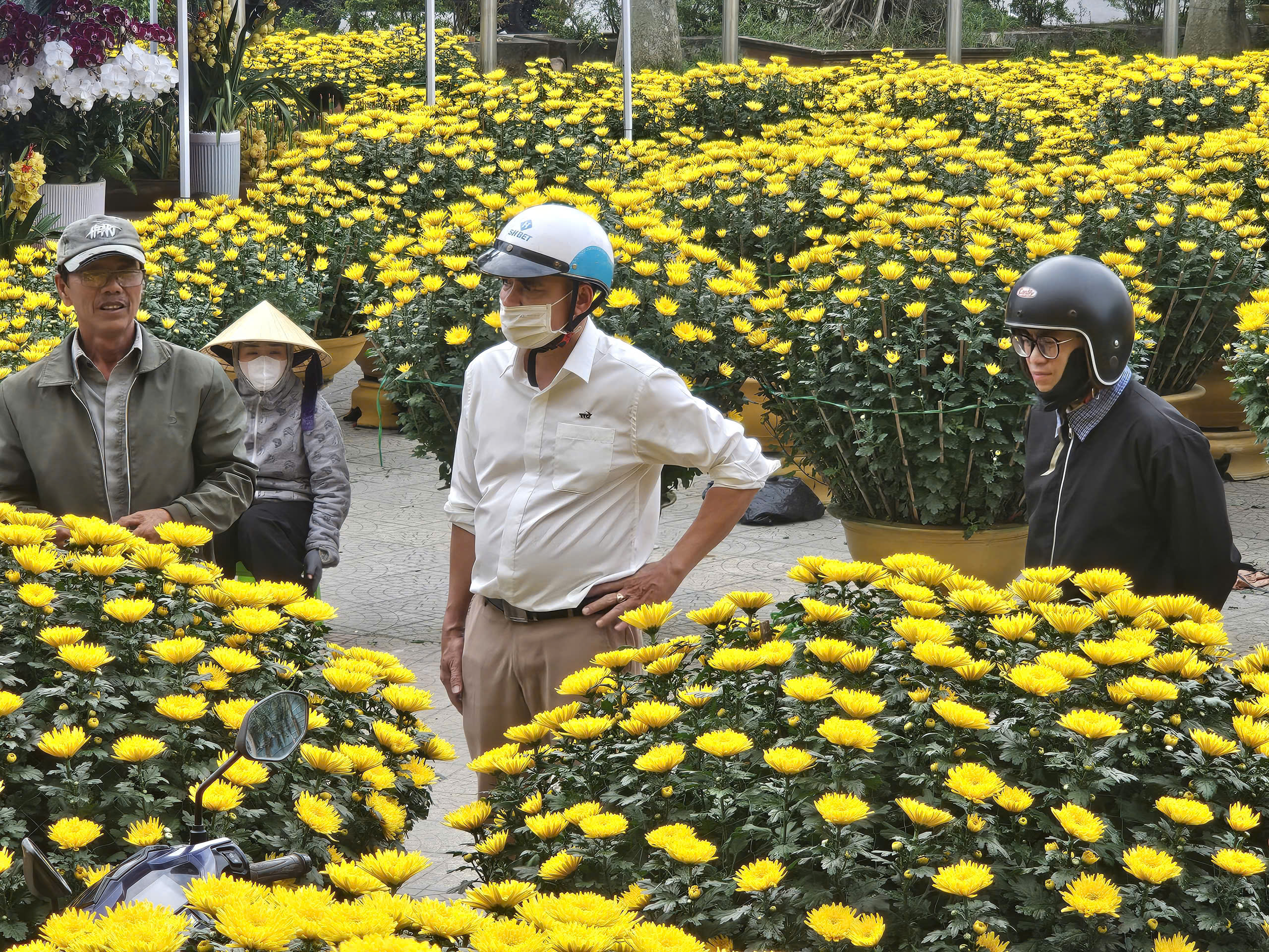 Người trồng hoa mong sớm về đích