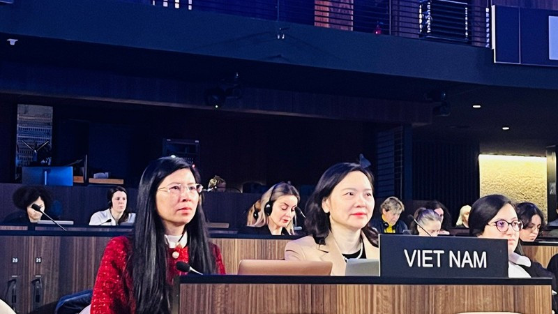 Việt Nam tiếp tục hợp tác với cộng đồng quốc tế nhằm triển khai hiệu quả Công ước 2005