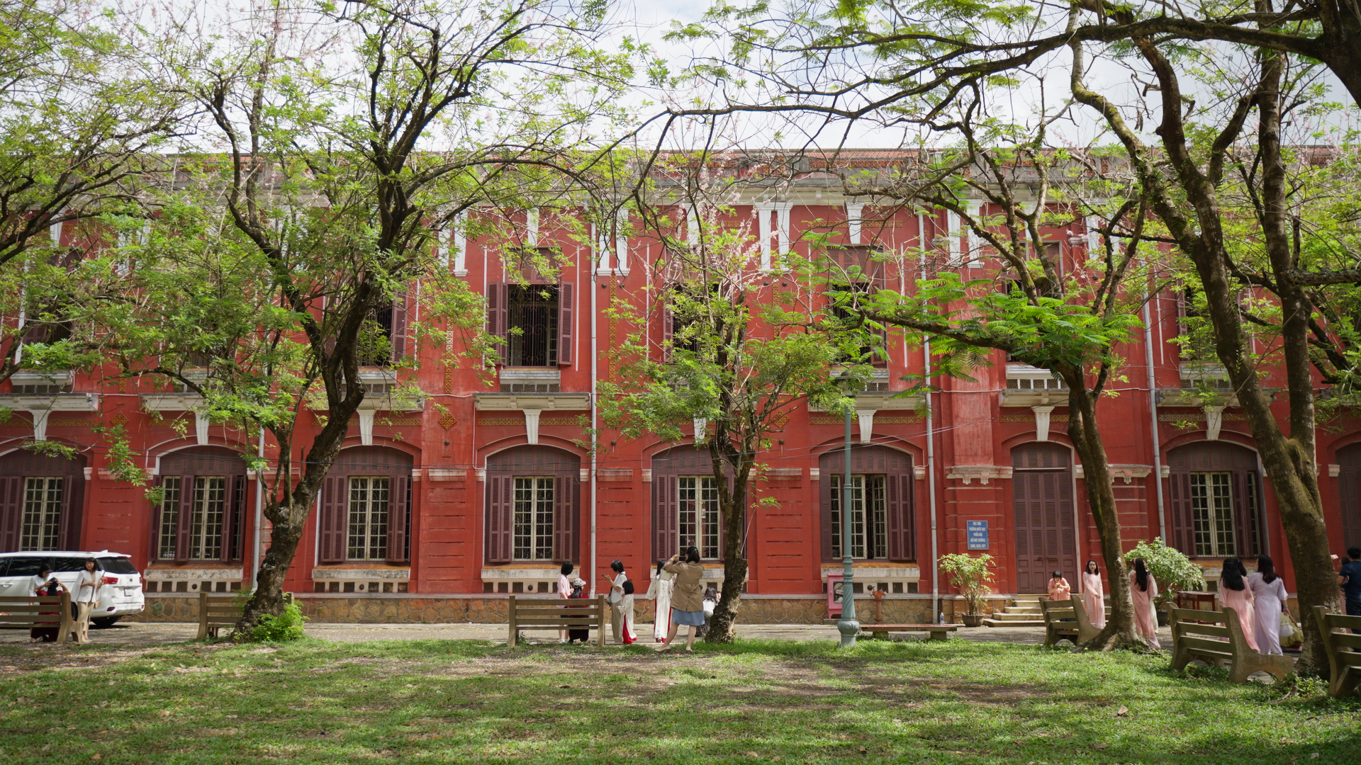 Hẹn nhau dưới tán điệp anh đào