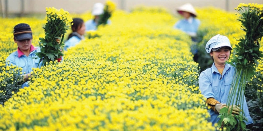 Giữ gìn nét Huế nơi xa