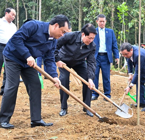 Chủ tịch nước Lương Cường Tiếp tục đưa phong trào trồng cây đi vào chiều sâu, thực chất