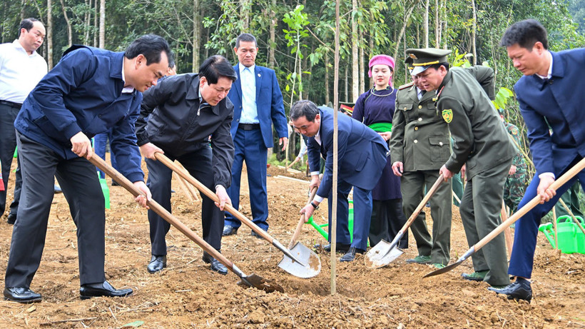Chủ tịch nước Lương Cường Tiếp tục đưa phong trào trồng cây đi vào chiều sâu, thực chất