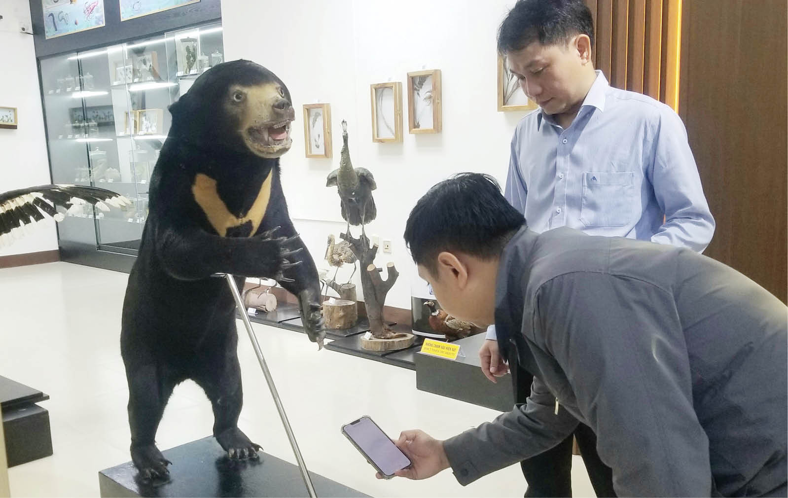 “Đánh thức” bảo tàng thiên nhiên bằng công nghệ số