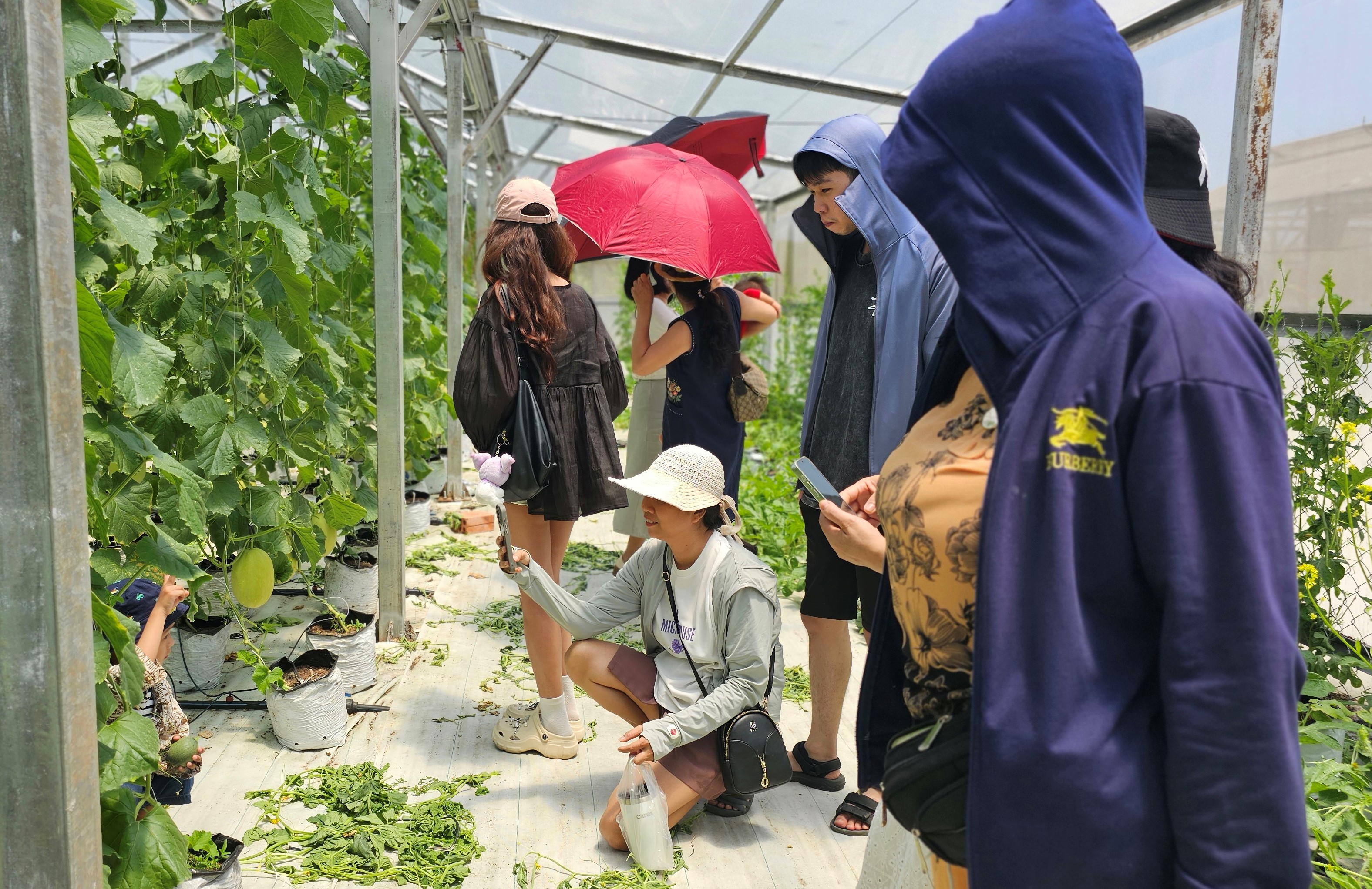 Phê duyệt Chương trình “Đổi mới, nâng cao chất lượng đào tạo nghề nông thôn đến năm 2030”