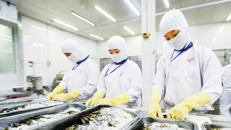 Tìm giải pháp để nông sản trụ vững, mở rộng thị trường