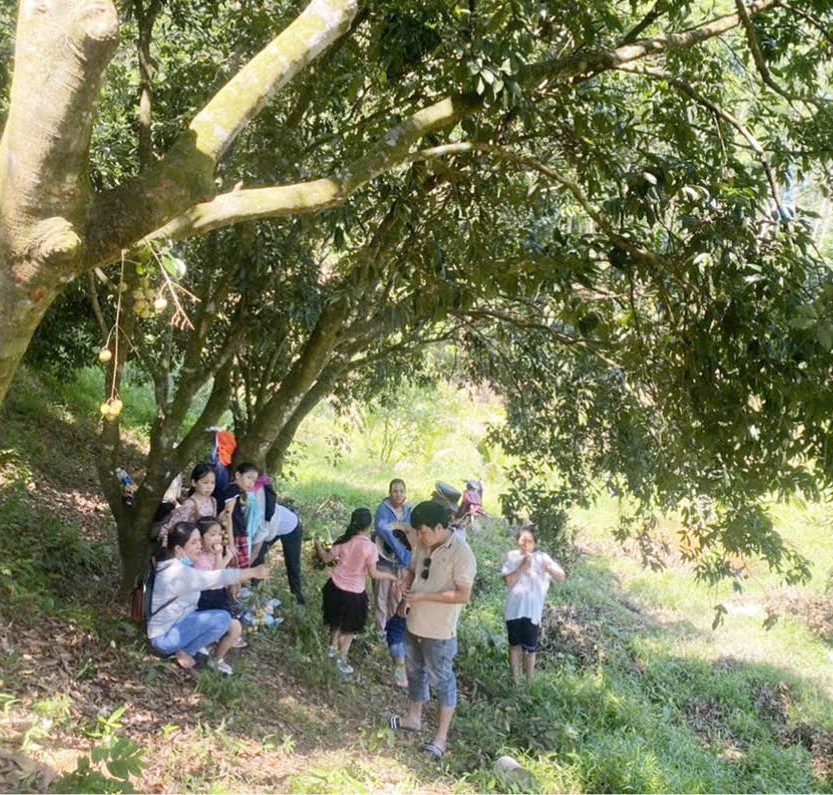 Khi nông dân làm du lịch