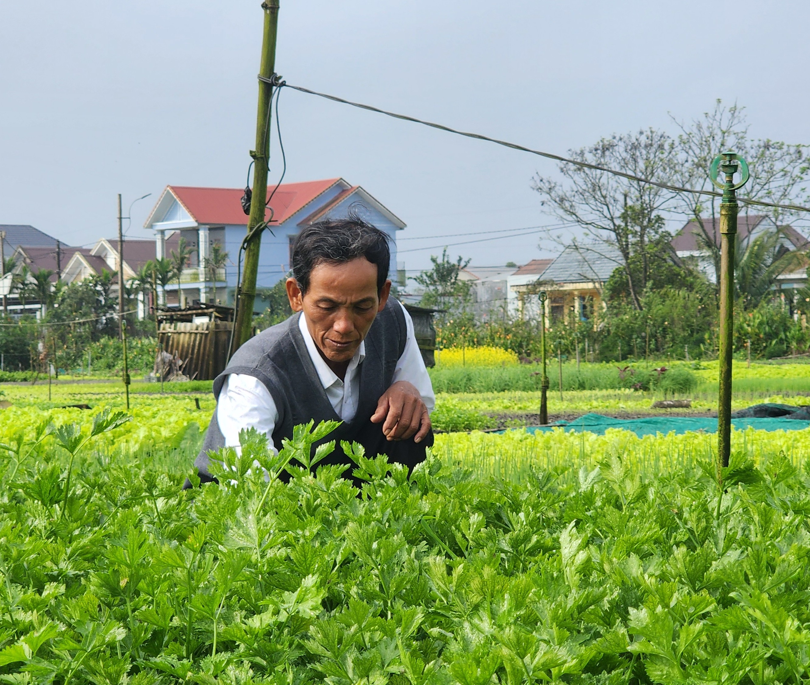 Cơ cấu kinh tế khu vực nông thôn chuyển dịch đúng hướng