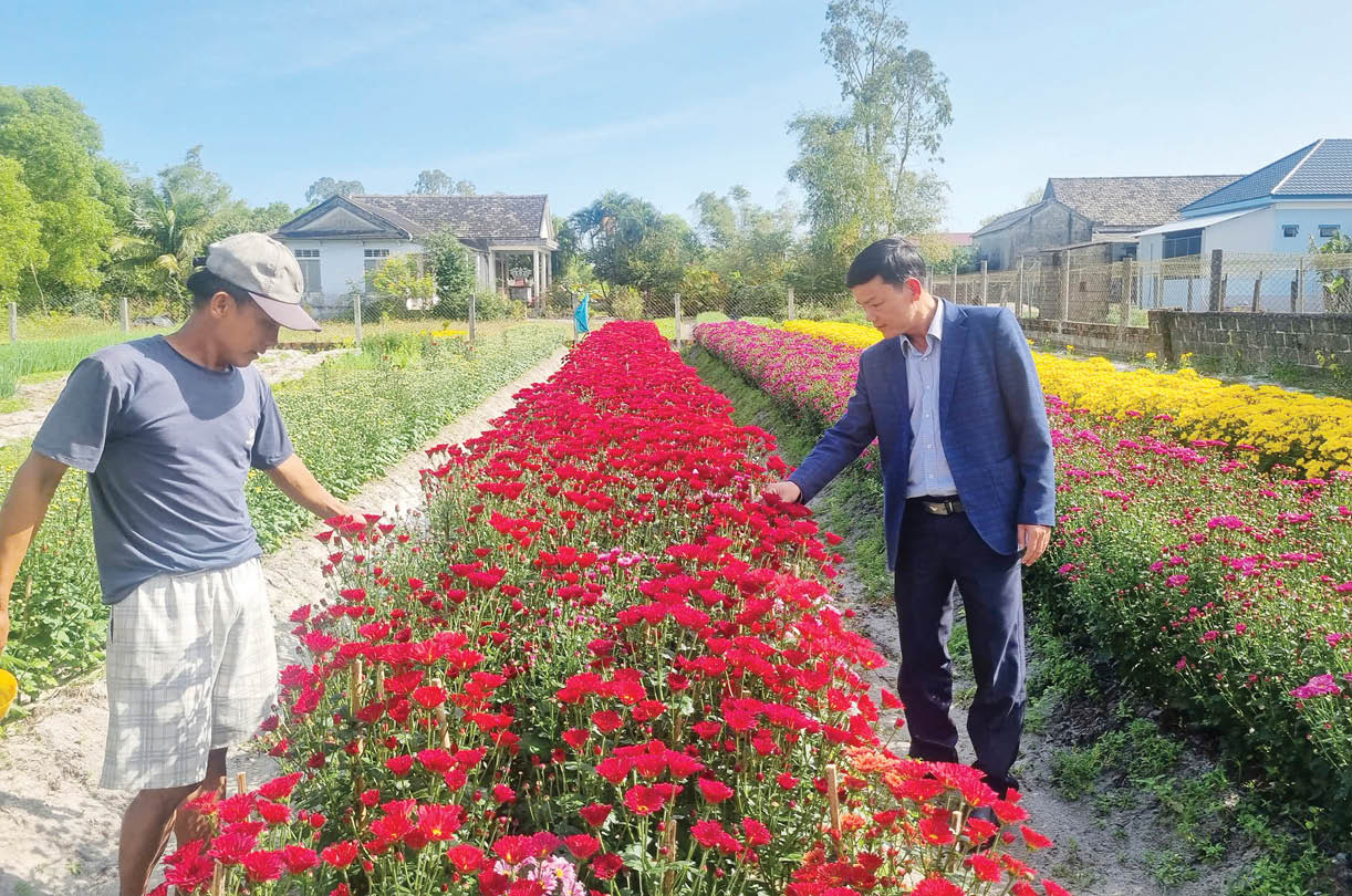 Hứa hẹn thu nhập tốt từ vụ hoa sau Tết