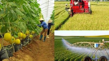 Hỗ trợ hợp tác xã tiếp cận, áp dụng các nền tảng số, công nghệ mới