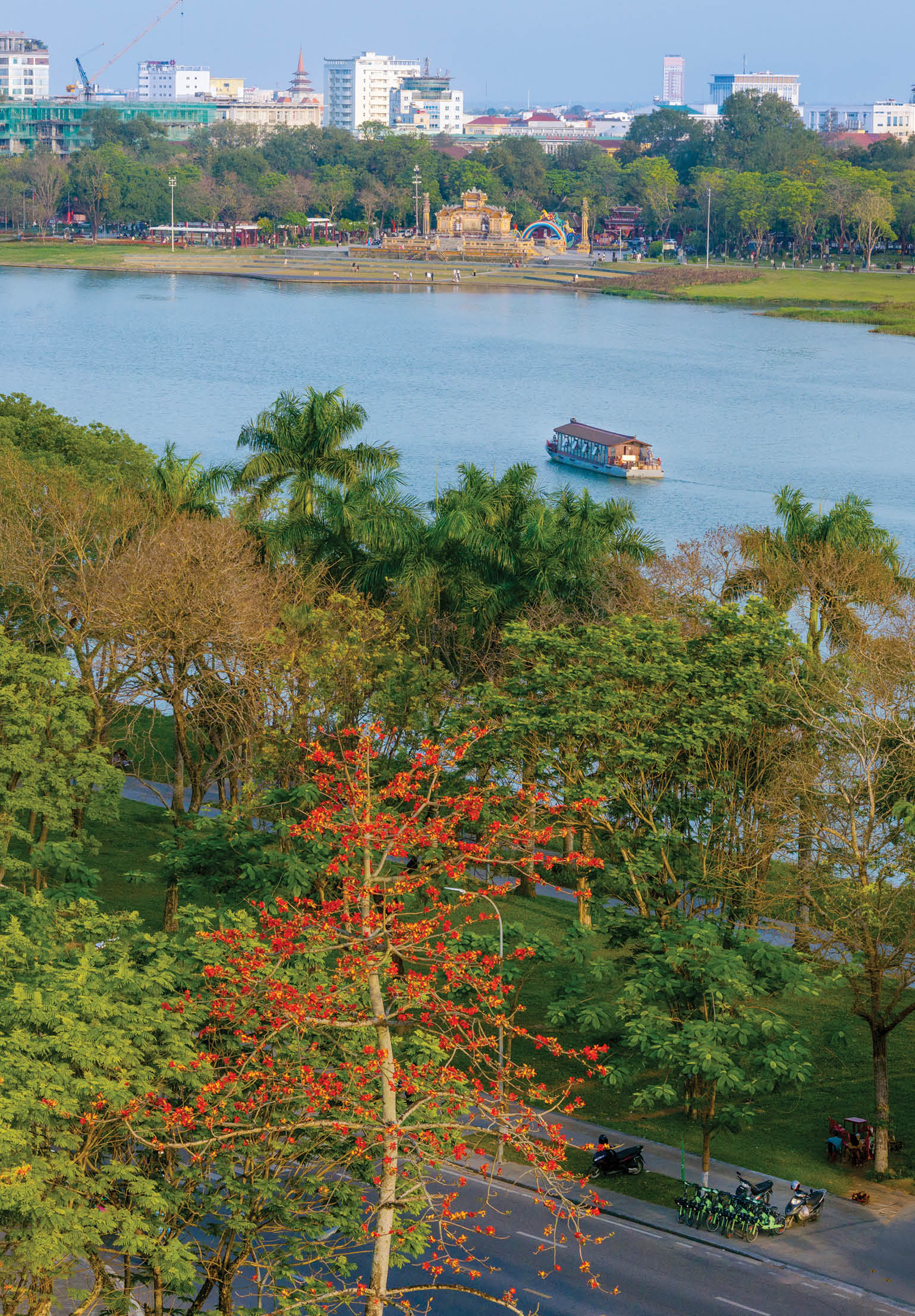 Đỏ trời hoa gạo