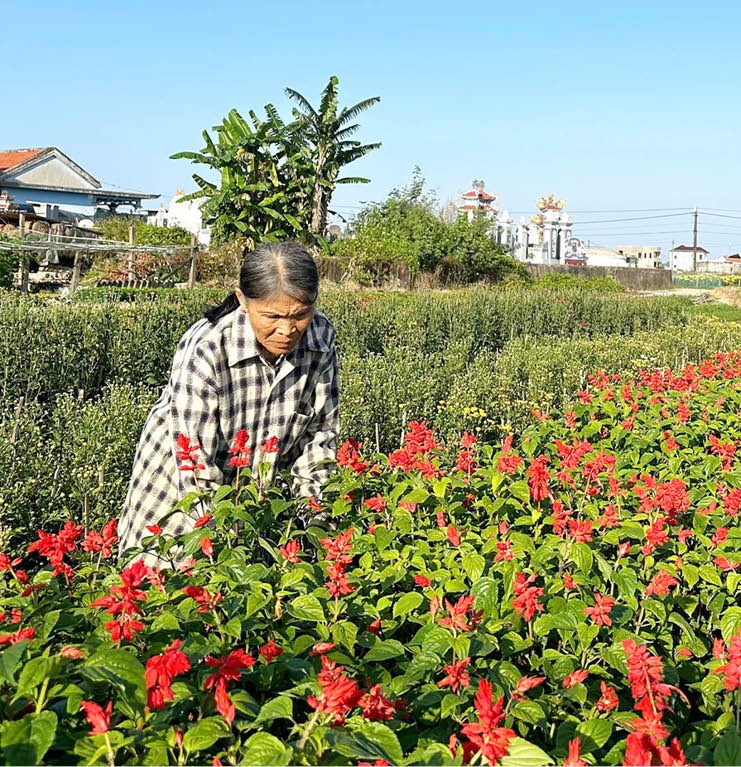 Tiếp sức giúp phụ nữ vươn lên