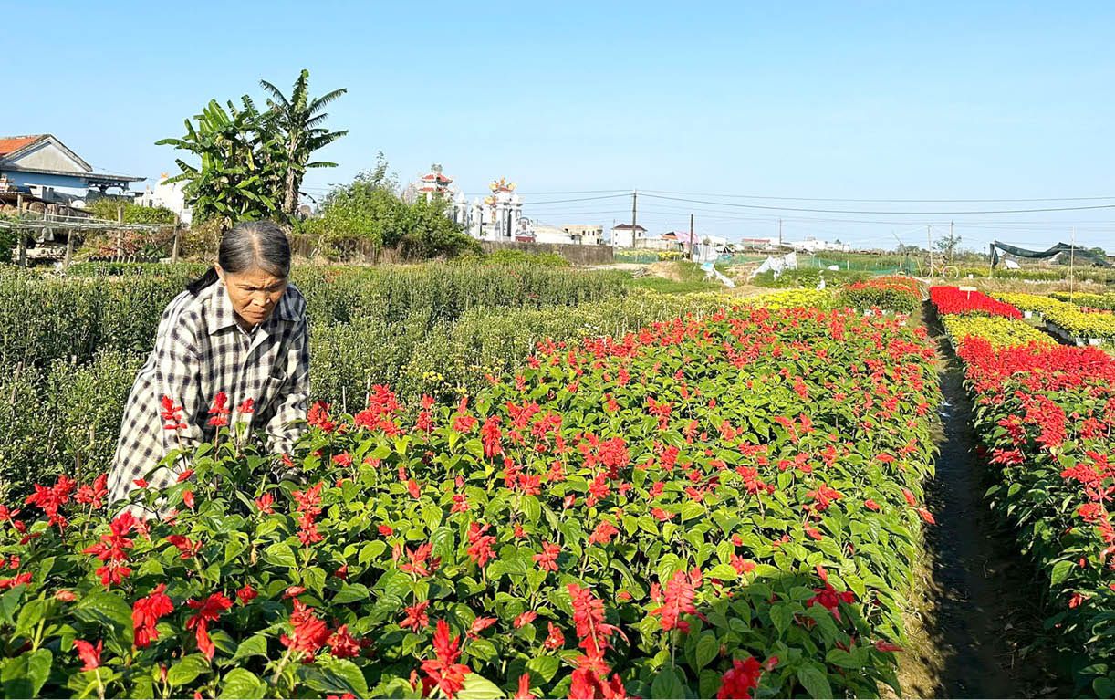 Tiếp sức giúp phụ nữ vươn lên