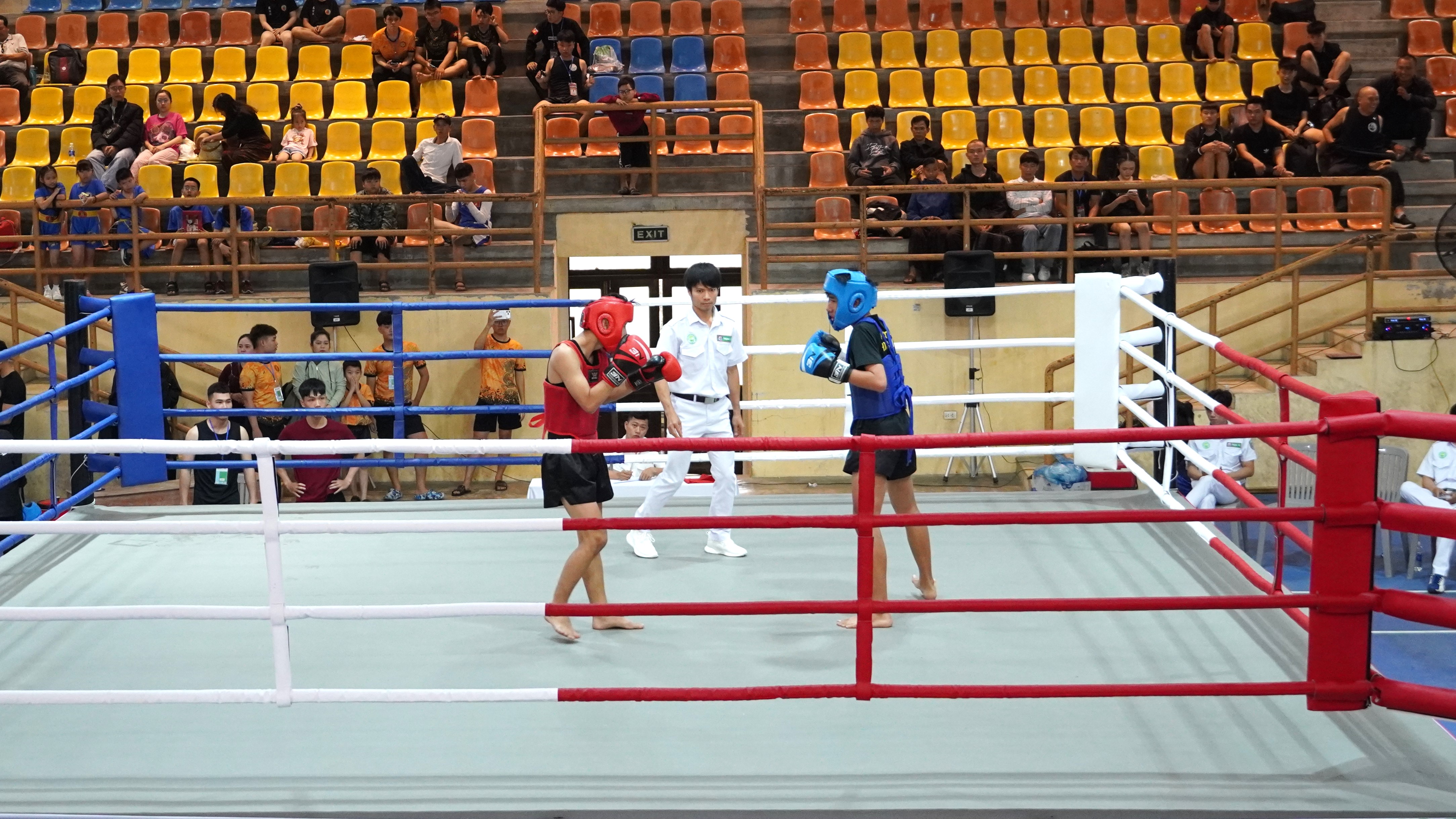 Hơn 330 vận động viên tranh tài tại Giải võ cổ truyền thanh thiếu nhi TP Huế mở rộng